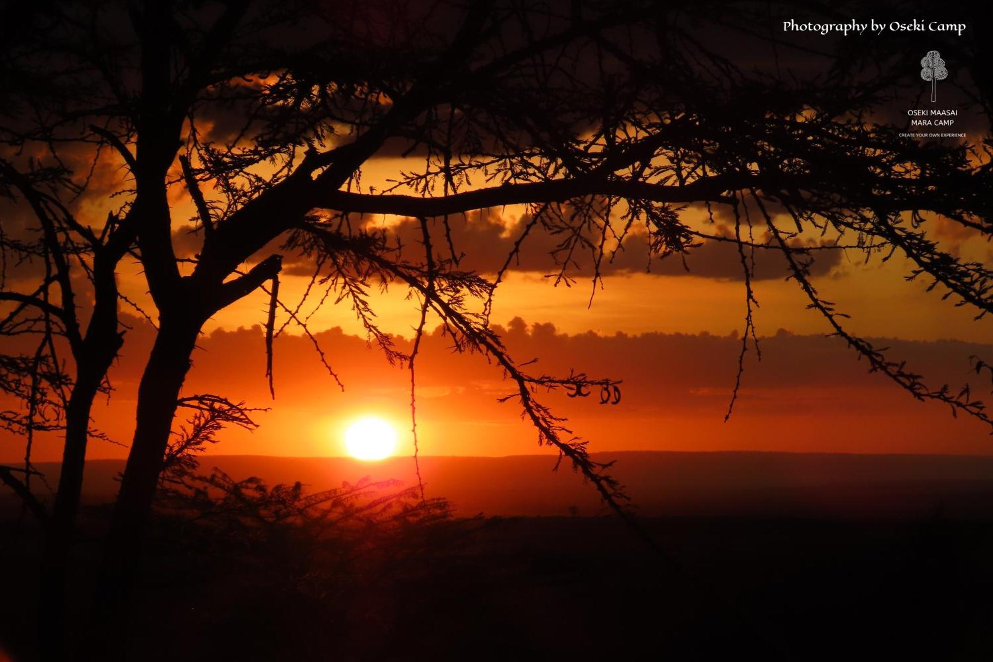 Oseki Maasai Mara Camp Hotell Narok Eksteriør bilde