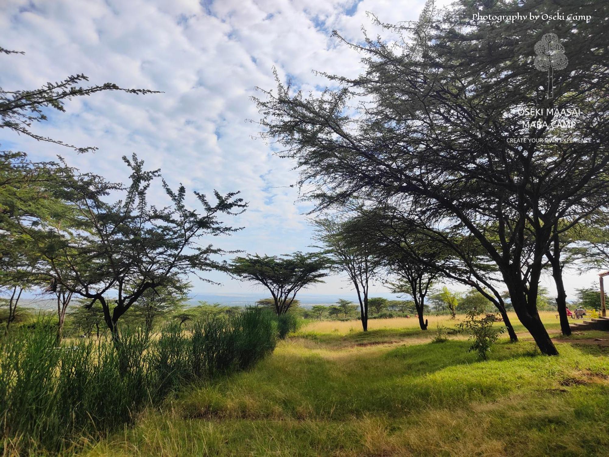 Oseki Maasai Mara Camp Hotell Narok Eksteriør bilde